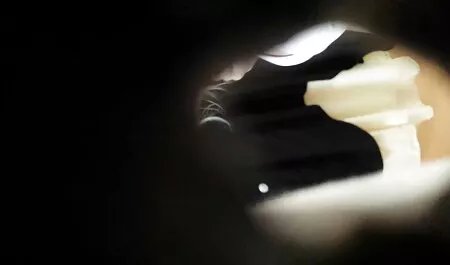 Kisya, pokaži nam svoje rupe i milovaj ih prema nama, zlikovci kažu ovoj mladoj kuči na web kameri i ona poslušno ispunjava sve njihove jogging porno ćudljivosti