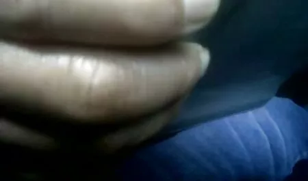 Mlada booloo porno pilić sjedi pičku na kurva usta, zatim na članu jebača