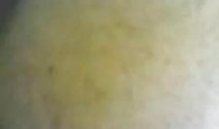 Dva zeta porno 3hd pijana jebaju debelu svekrvu