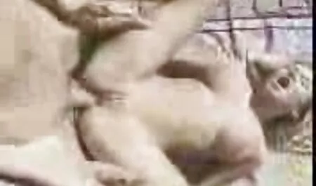 Čini se da je pilić imala apstinenciju, jer ne samo da je duboko udarala, porno sauna već je i tražila da joj jeba mokru pičku i njezinu šarmantnu guzu