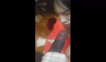 Ljepotica brineta dala je kuči porno taxi 2019 novu igračku pa se zajebavala s njom