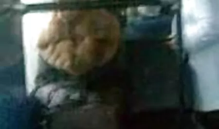 Mlada xxx video pormo plavuša voli se jako zajebavati